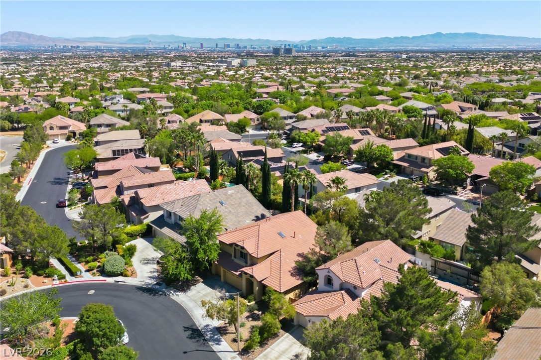 1508 Pine Leaf Drive Las Vegas NV 89144