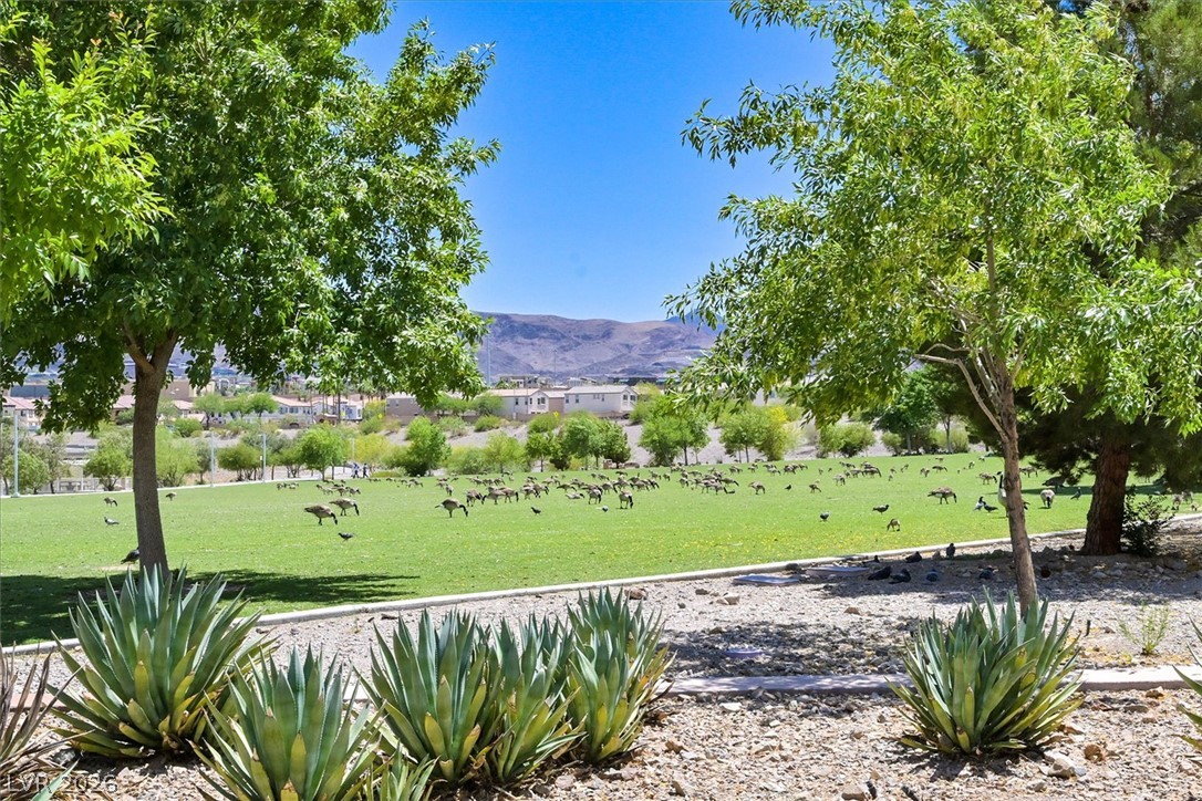 1429 Still Creek Avenue Henderson NV 89074