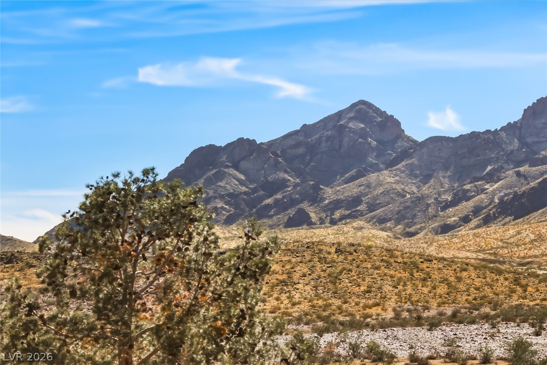 1140 Julie Road Henderson NV 89002
