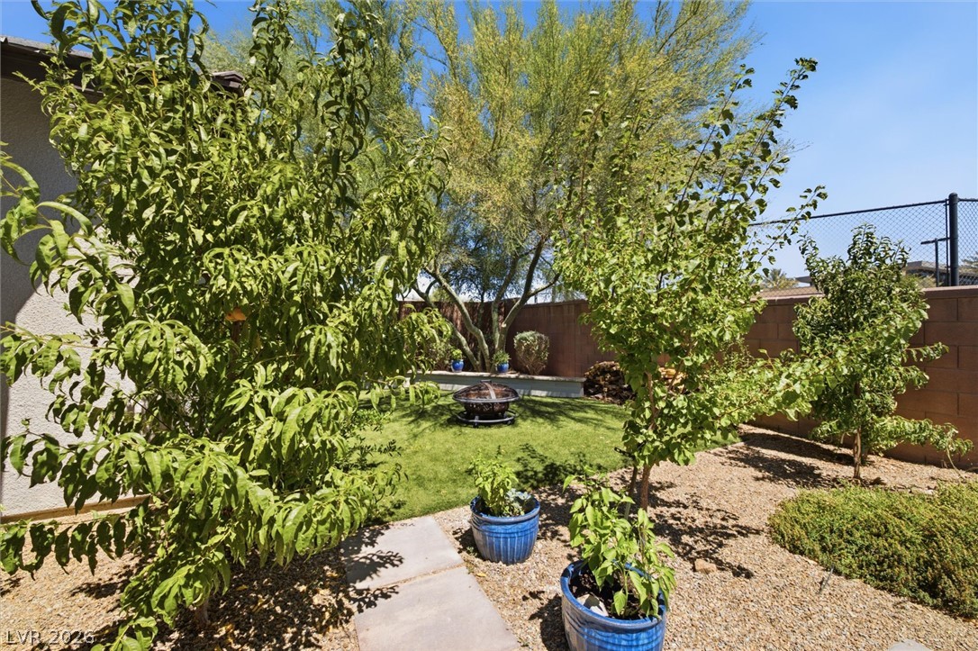 4885 East Cactus Canyon Drive Pahrump NV 89061