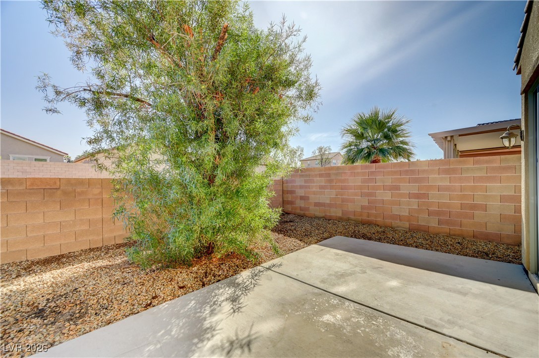 1032 Via Canale Drive Henderson NV 89011