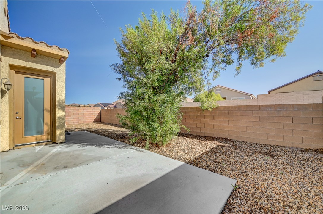 1032 Via Canale Drive Henderson NV 89011