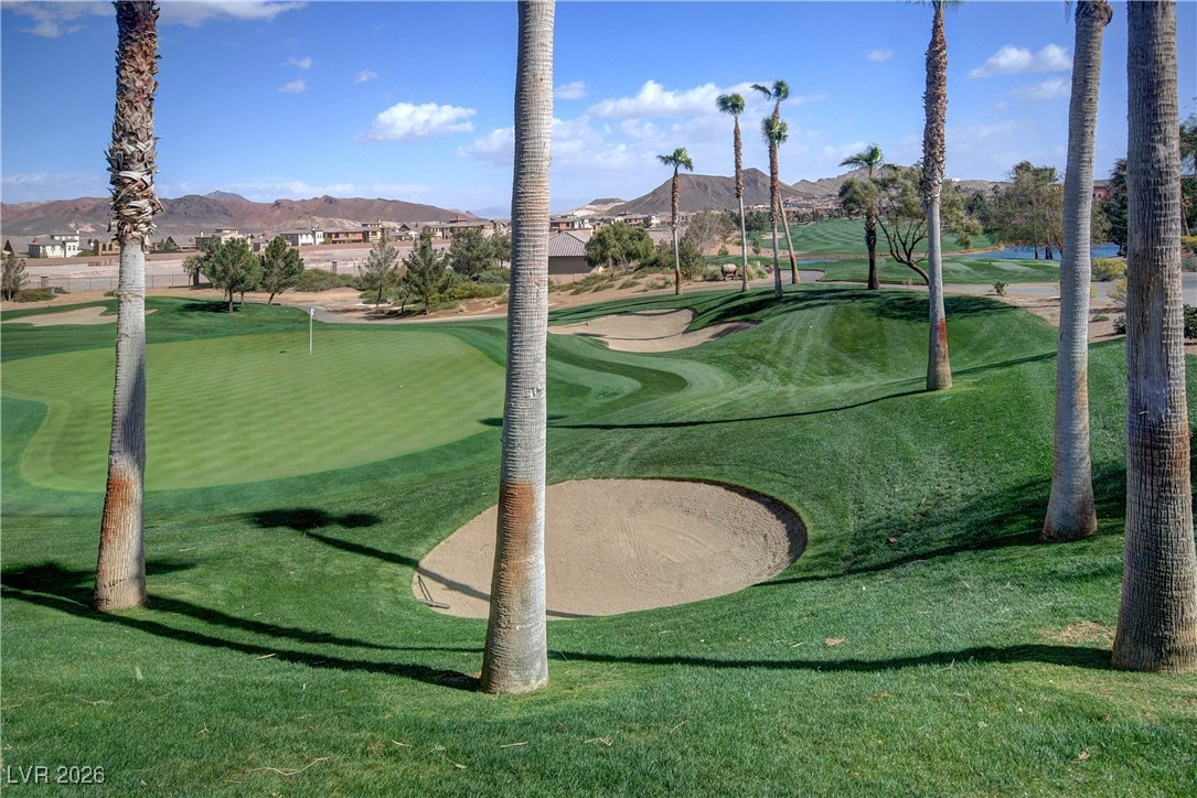 1032 Via Canale Drive Henderson NV 89011
