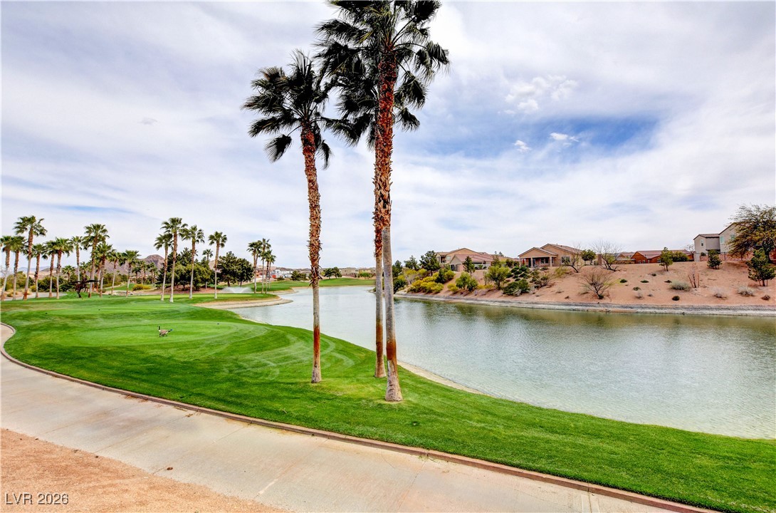 1032 Via Canale Drive Henderson NV 89011