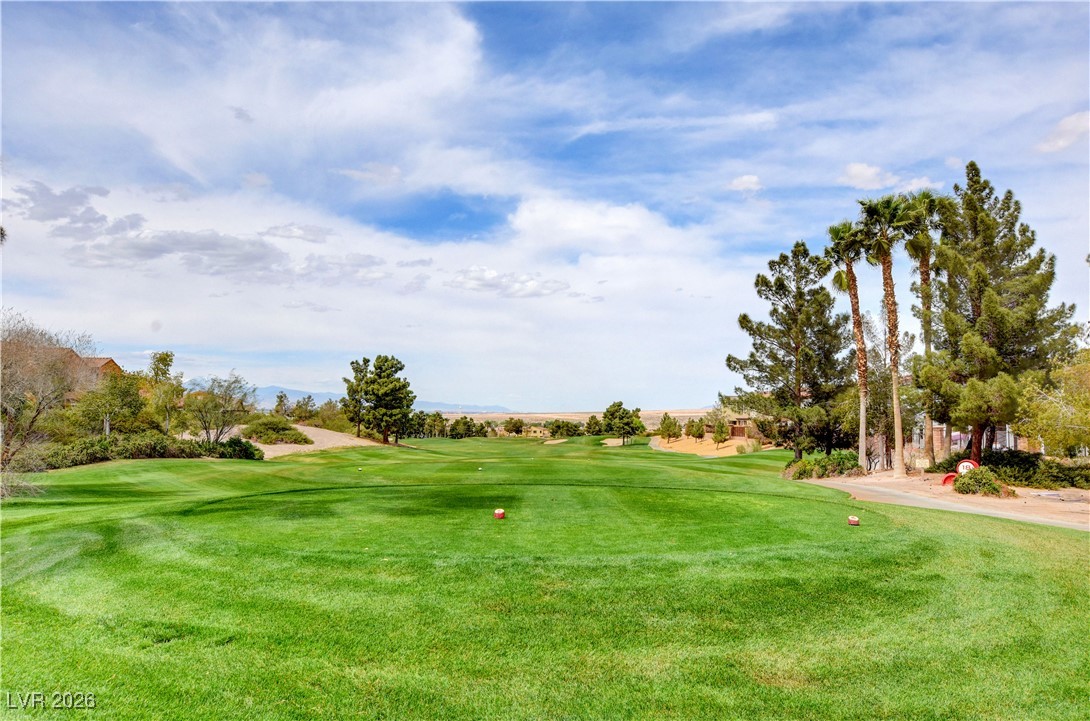1032 Via Canale Drive Henderson NV 89011