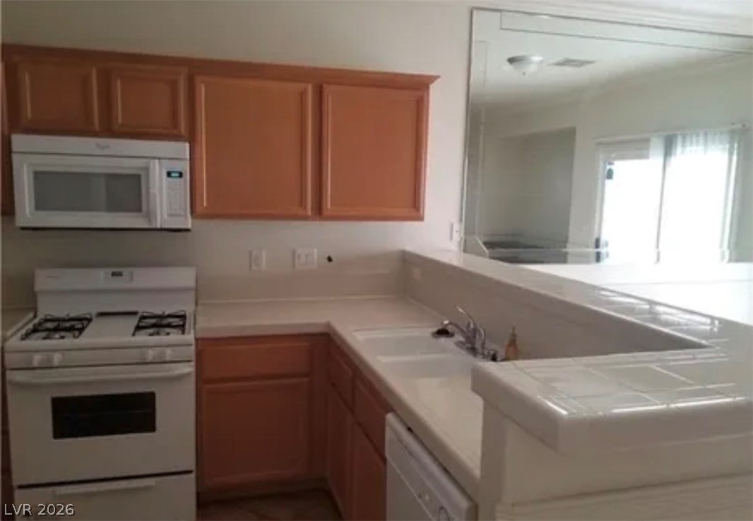 1023 Sunny Acres Avenue North Las Vegas NV 89081