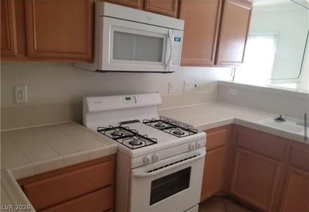1023 Sunny Acres Avenue North Las Vegas NV 89081
