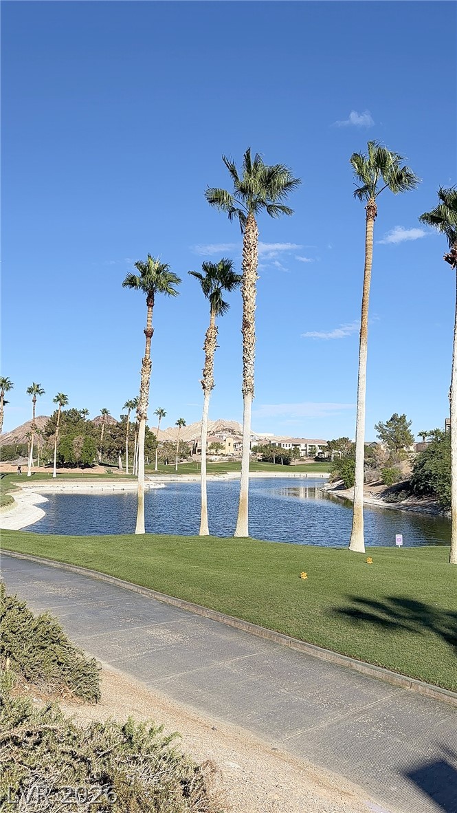 927 Via Canale Drive Henderson NV 89011