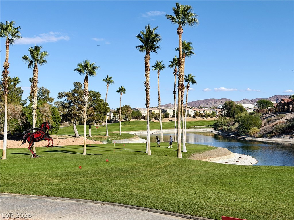 927 Via Canale Drive Henderson NV 89011