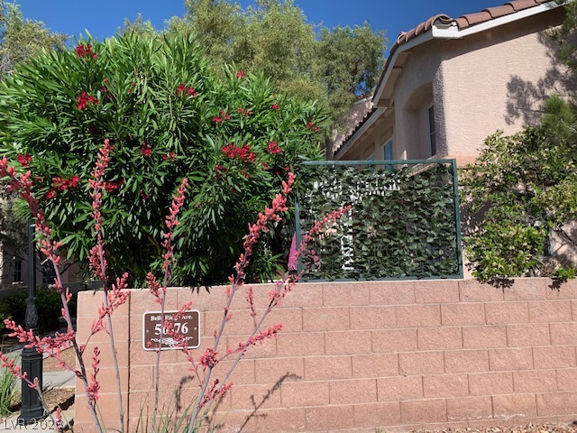 50 Belle Ridge Avenue Las Vegas NV 89123