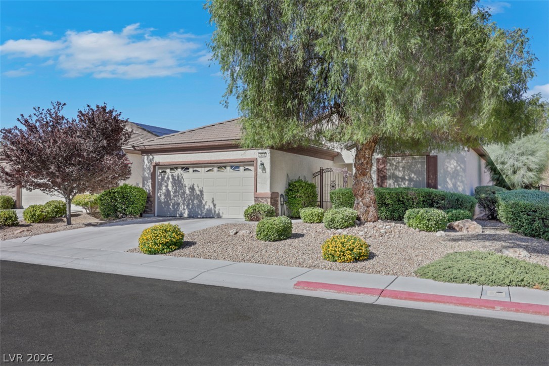 2408 Cosmic Ray Place Henderson NV 89044