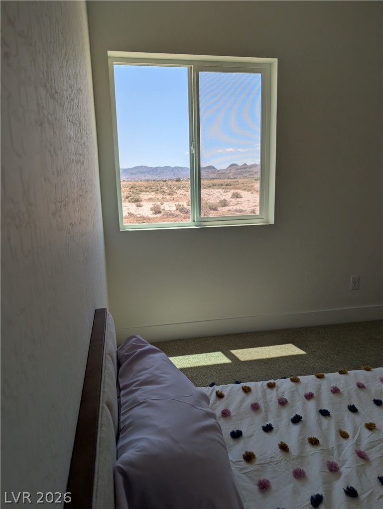 601 Nikki Pahrump NV 89060