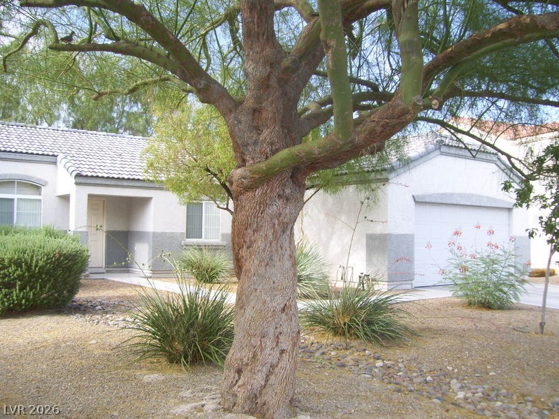 3720 Shimmering Creek Avenue North Las Vegas NV 89031