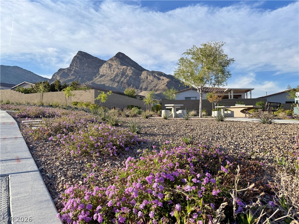 11622 Peregrine Point Court Las Vegas NV 89138