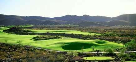 1224 Starview Peak Court Henderson NV 89012