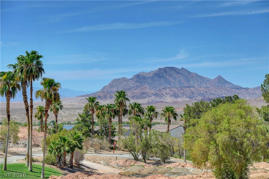 436 Via Del Foro Drive Henderson NV 89011