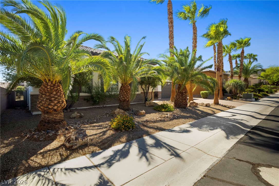246 Calle Palacio Street Henderson NV 89012