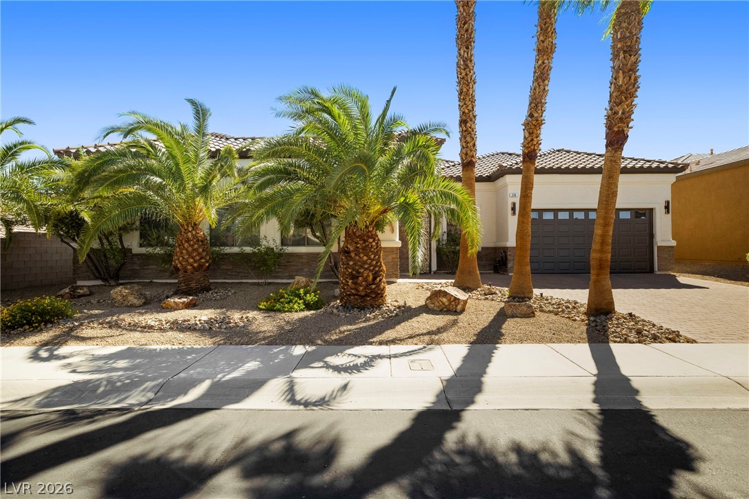 246 Calle Palacio Street Henderson NV 89012