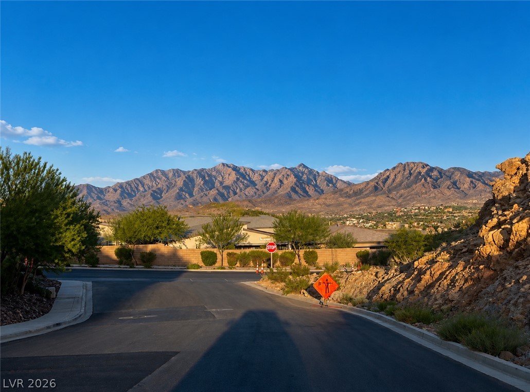 89 Cathedral Wash Place Henderson NV 89011