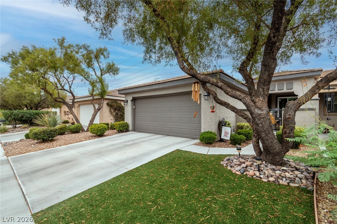 4826 Regalo Bello Street Las Vegas NV 89135