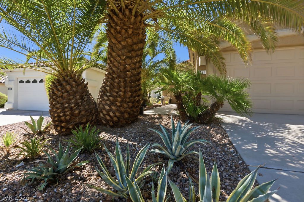 2121 Sunset Vista Avenue Henderson NV 89052