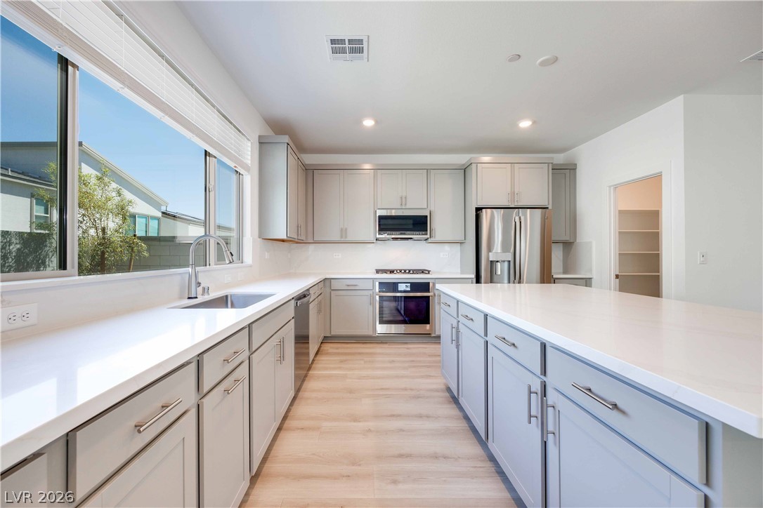 10488 Mountain Aster Avenue Las Vegas NV 89166