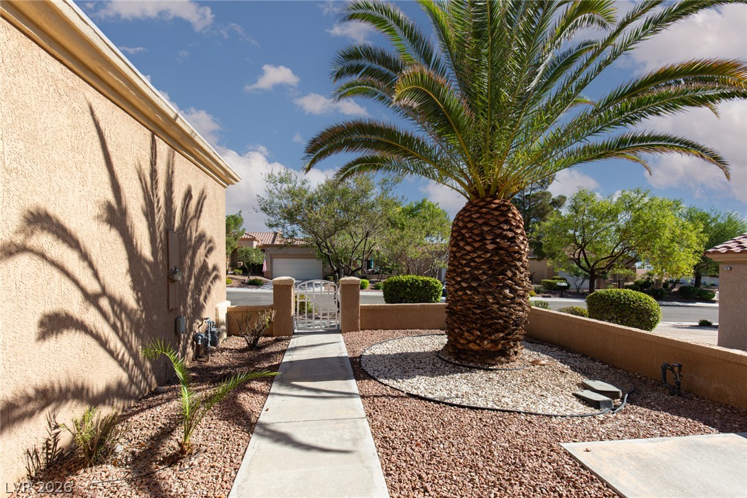 10009 Arbuckle Drive Las Vegas NV 89134