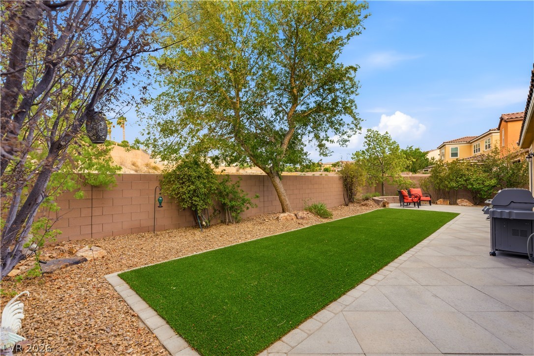 2522 Birch Hollow Street Henderson NV 89044