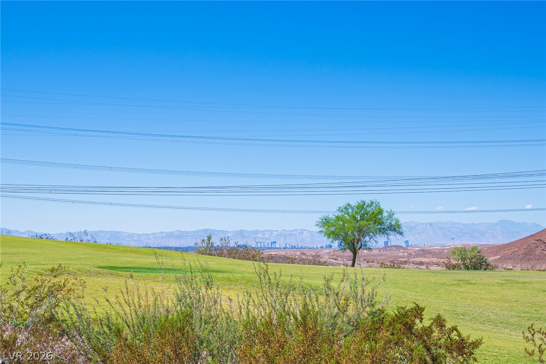 65 Contrada Fiore Drive Henderson NV 89011