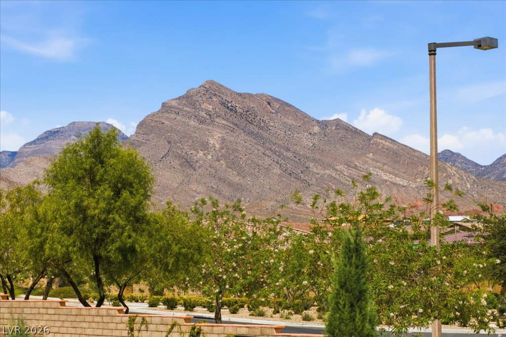 181 Elder View Drive Las Vegas NV 89138