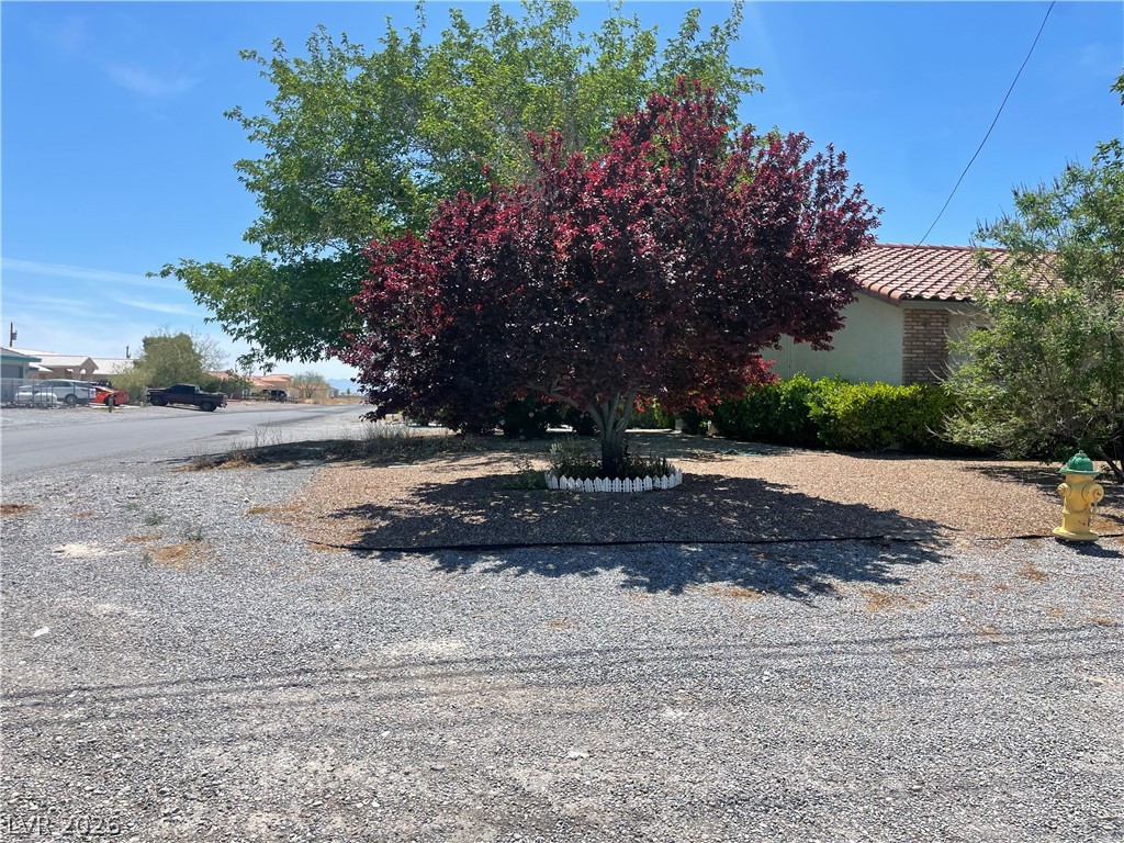 881 East Calvada Boulevard Pahrump NV 89048