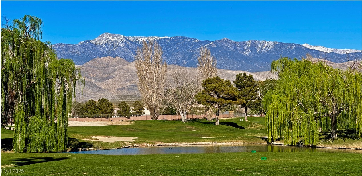 5891 East Alfano Avenue Pahrump NV 89061