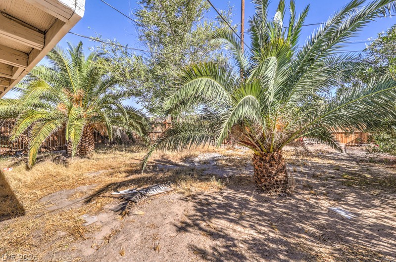 2410 Poplar Avenue Las Vegas NV 89101