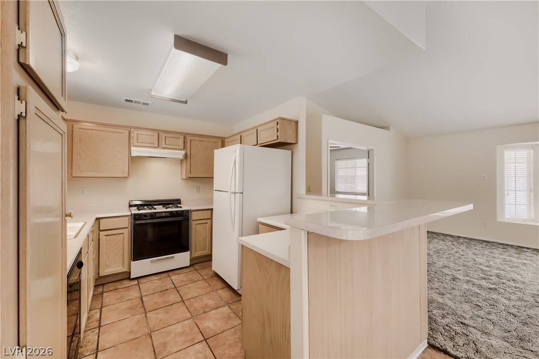 716 Marie Fenlon Drive Las Vegas NV 89107