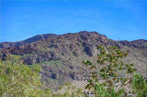 176 Kirkton Street Henderson NV 89012