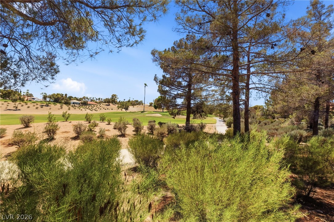 8649 Robinson Ridge Drive Las Vegas NV 89117