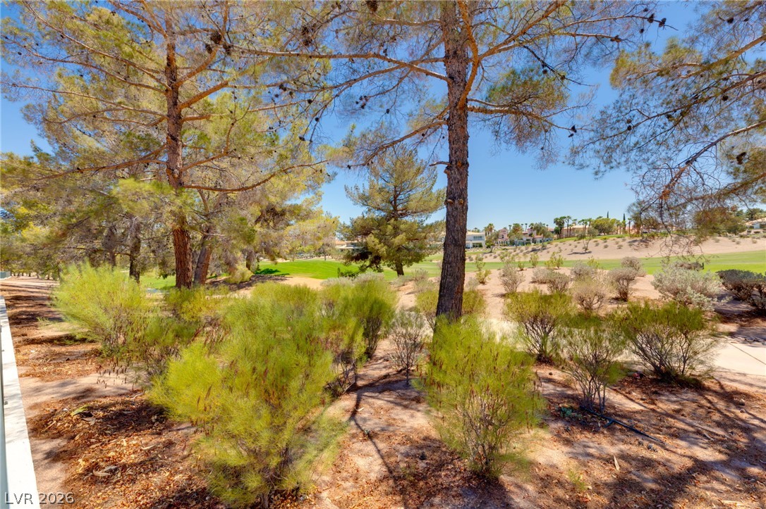 8649 Robinson Ridge Drive Las Vegas NV 89117