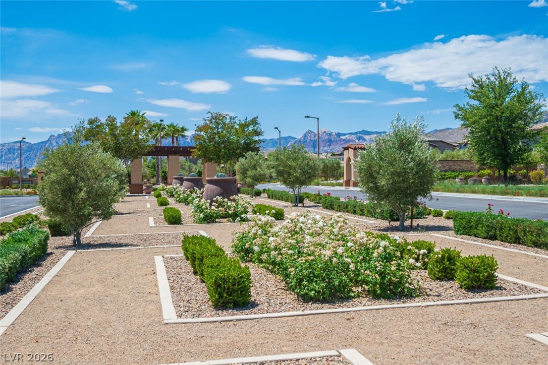 486 Rosina Vista Street Las Vegas NV 89138
