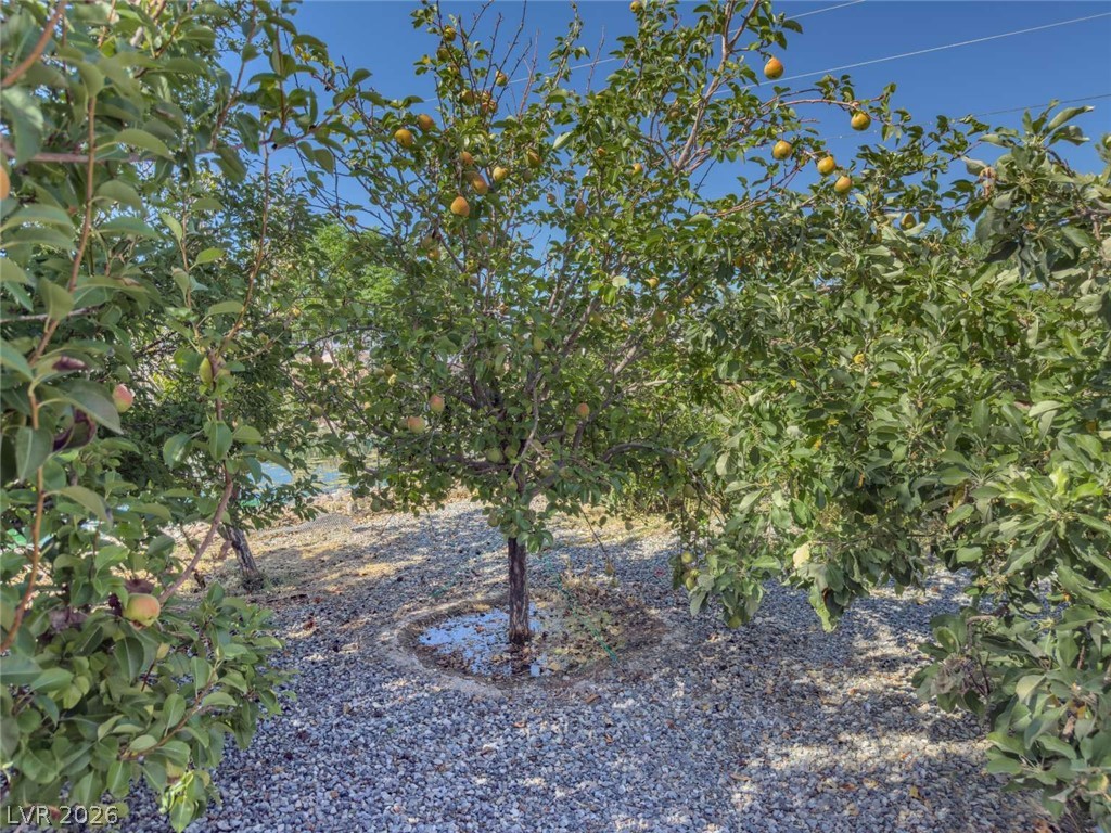 201 West Lupin Street Pahrump NV 89048