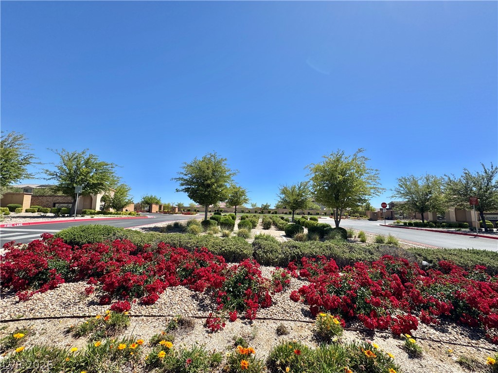 31 Berneri Drive Las Vegas NV 89138