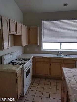 133 Mclaren Street Henderson NV 89074