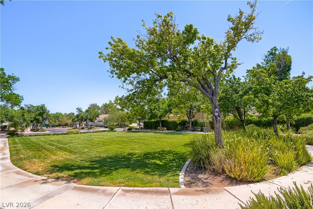 310 Dazzling Terrace Henderson NV 89012