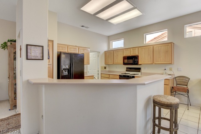 10045 Netherton Drive Las Vegas NV 89134