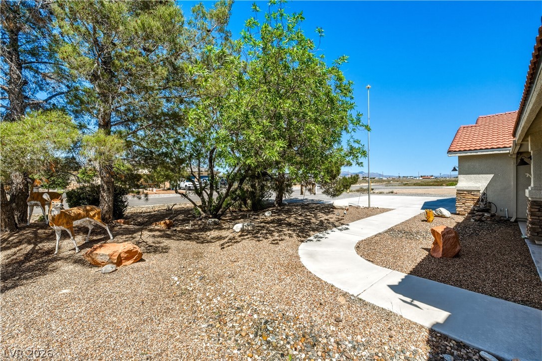 3001 South Torrey Pines Avenue Pahrump NV 89048