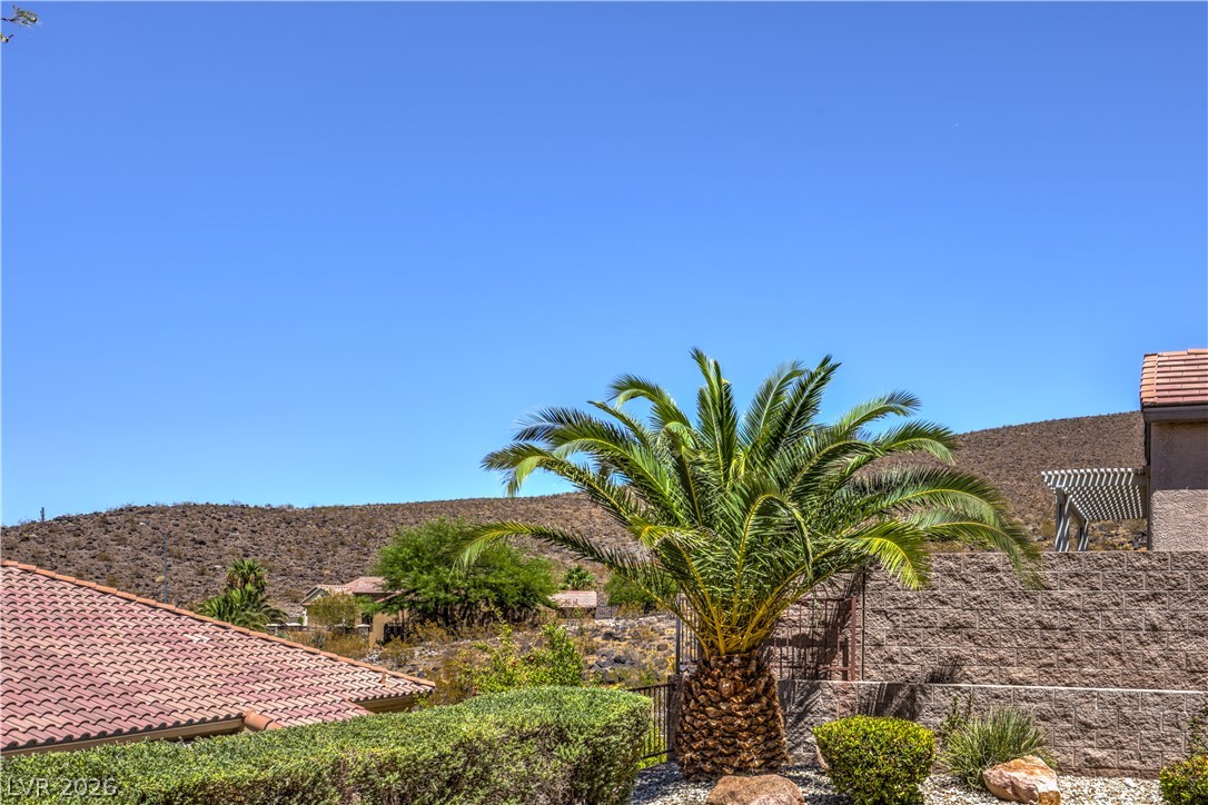 2156 Long Creek Court Henderson NV 89044