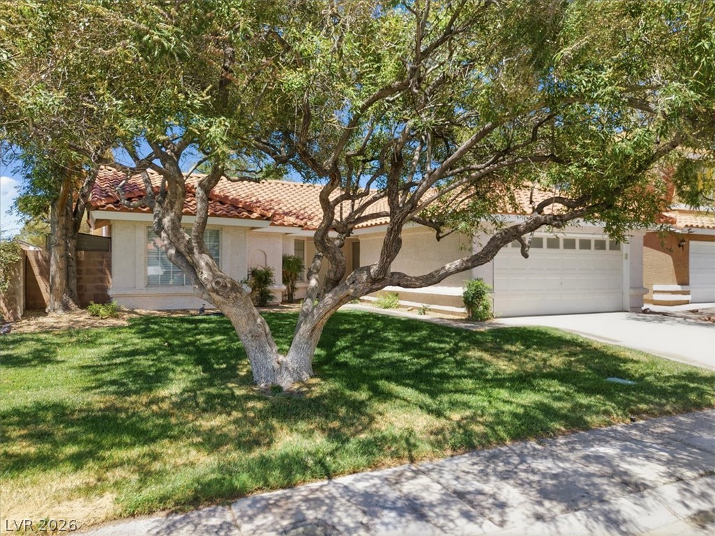 2802 Barrel Cactus Drive Henderson NV 89074