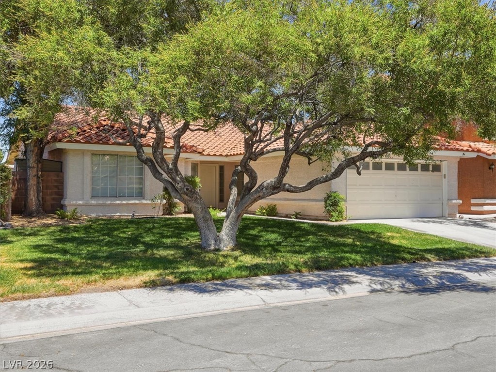 2802 Barrel Cactus Drive Henderson NV 89074