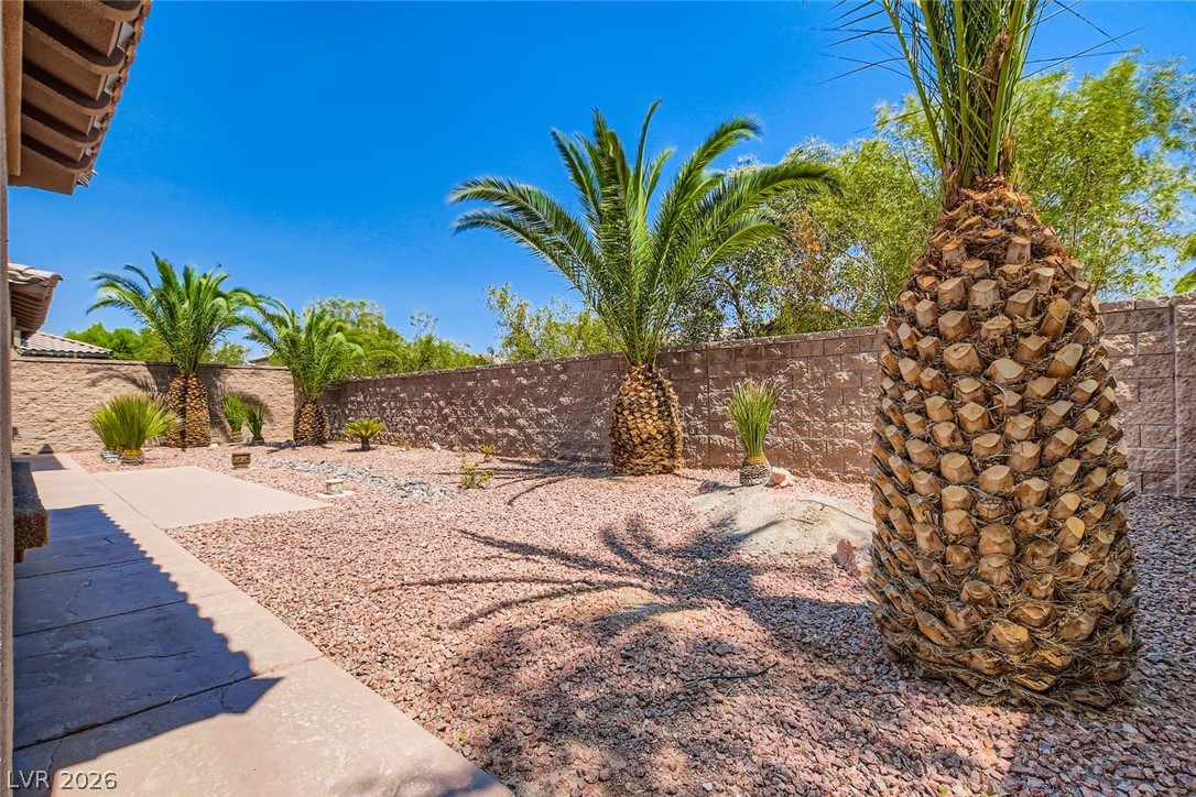 7364 Summer Duck Way North Las Vegas NV 89084