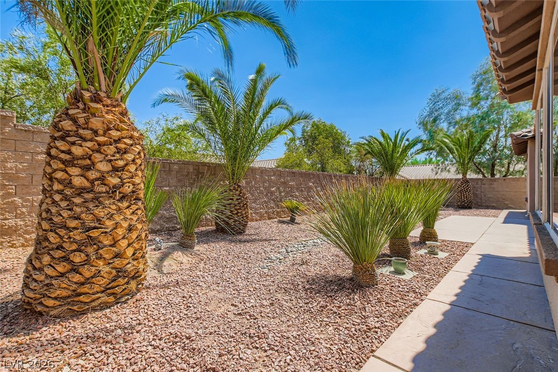 7364 Summer Duck Way North Las Vegas NV 89084