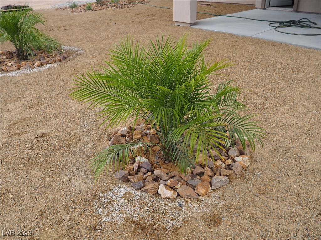 6141 South Lisa Lane 1 Pahrump NV 89048